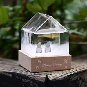 �y�|�C���g 20�{�I�z �X�g�[���O���X �n�E�X �g���e �y �k�� �C���e���A�G�� ������� �u�� �V�z�j�� �l�C ���_�� �z ���r���O ���� �f�X�N �Q�� ���� ���� ���� �I�V���� �G�� �k���G�� �a��