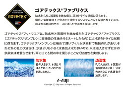 TOPDRYTDY39-29トップドライレディースシューズアサヒシューズ雨や雪の日の強い味方ゴアテックスファブリックス送料無料【サイズ交換再送料1回無料】