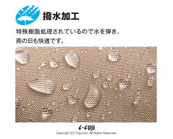 TOPDRYTDY39-29トップドライレディースシューズアサヒシューズ雨や雪の日の強い味方ゴアテックスファブリックス送料無料【サイズ交換再送料1回無料】