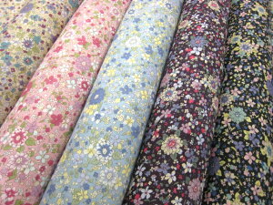 2nd yuwa gNVbN oeB ԕ t[vg