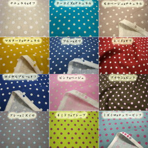 22FWJ ȖLoX J[Yhbg n A ( Rbgl  REG )