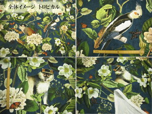 Avg gsJ@Aj} CR n z An C|[g BB FABRICS