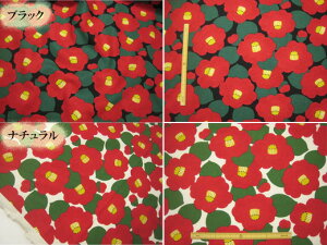  Ȗ n@RbglLoX a ԕ t[ REG