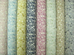 ݃J[ԕ u[h t[vg oeB n