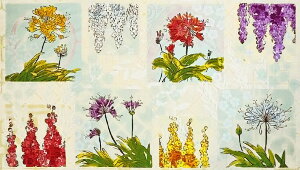 WP-2944 RX,tW, pl 110*61 i Rbgvgn