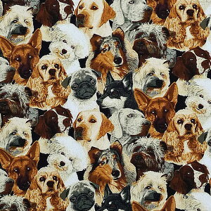 FT-1162 ̃|[gCg Rbgvgn