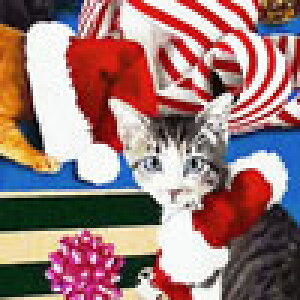 ES-3086 T^̖XqėVԃlRB I[I[o[/u[ Rbgvgn