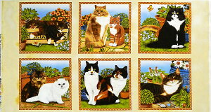 C|[g̉lR̃pl lRƂ s[pl/x[W 110*59 WP-3496 i Rbgvgn