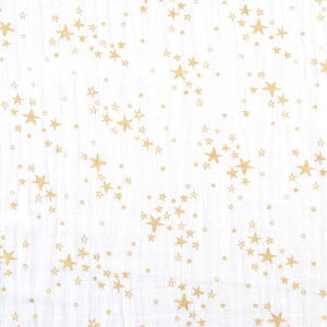 }XN SF-4200  S[h/zCg _uK[[ 60*50 _uK[[