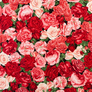 ԂƃsÑo I[I[o[ TT-4206 Rbgvgn