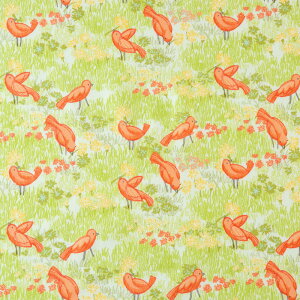 MO-4209 ۂۂƃIW̃Ji ItzCg Rbgvgn