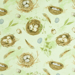 WP-4526 ���̑��Ɨ� �V���[�x�b�g�E�O���[�� �R�b�g���v�����g���n