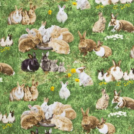 可愛いインポートのウサギ柄 草の中のウサギの親子 グリーン ES-4529 コットンプリント生地
