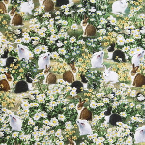 fCW[̉Ԃ̒̃ETMB TT-4530 Rbgvgn