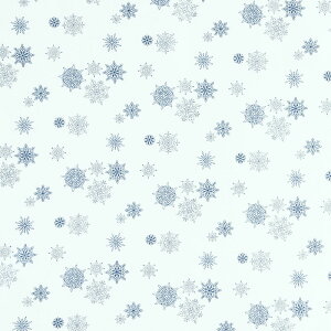 NX}X MO-4548 ȃu[̐̌ N[ Rbgvgn