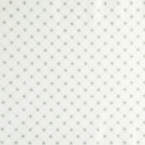 NX}X Vo[^bN̐̌ ΂ߊiq/zCg MO-4549 Rbgvgn