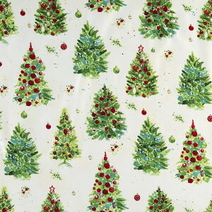 NX}X ԂƗ΂̃I[ig̃c[ gX/CgN[ CW-4551 Rbgvgn