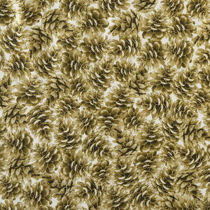 C|[g̉NX}X ڂ gX//N[ TT-4561 Rbgvgn