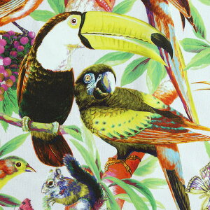 IEAAXAX fW^ KT-4626 Rbgvgn