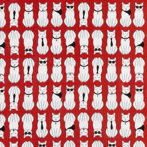 MiMi-4633 ꂢɕ񂾏΂lRƃTOX̃lR bh Rbgvgn