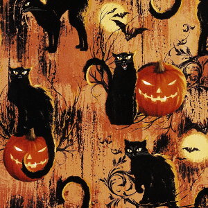 C|[g̃nEBEnEB[ lRAJ{` nEB IW F-4653 Rbgvgn