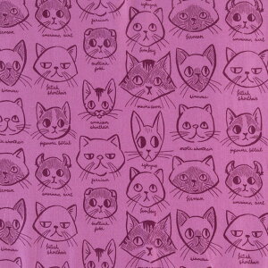 WF-4679 敗lR̊ _[NEsNEoCIbg Rbgvgn