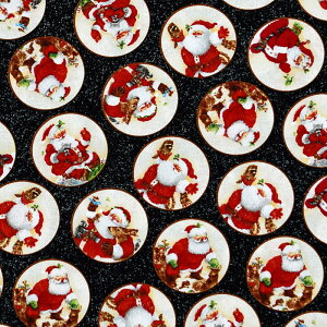 ͂NX}XE~ɓT^N[X ~̒̃T^ ubN HG4919 Rbgvgn