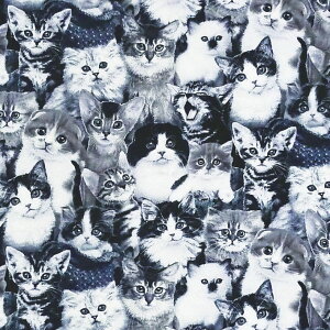 qL I[I[o[/mg[ ES-3439 Rbgvgn