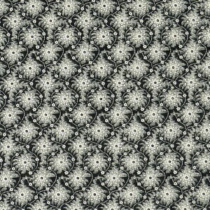 C|[g̉ԕ XgCvɂȂȂ  GF-2223 Rbgvgn