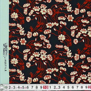 C|[g̉ԕ S̐Ԃŝ ubN LI-2650 Rbgvgn