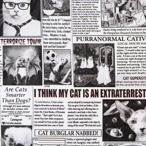 TT-4224 LV II Rbgvgn