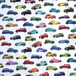 ʉEʊw VEVw NVbNJ[ zCg KT-4238 Rbgvgn