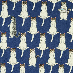 オlR /IbNXtH[h CK-4280 Rbgvgn