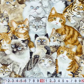 インポートの可愛いネコ柄 たくさんの子ネコたち ES-1651 コットンプリント生地