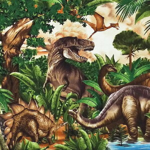 VAVwA̐E V[jbN 110*50 TT-2845 Rbgvgn