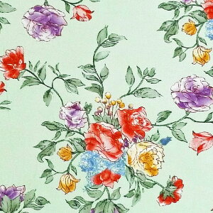 ỏԑ gX/CgO[ HG-2909 Rbgvgn