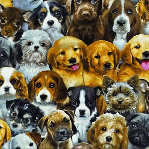 C|[g̉`[t̃Rbgvgn qB I[I[o[ ES-3356