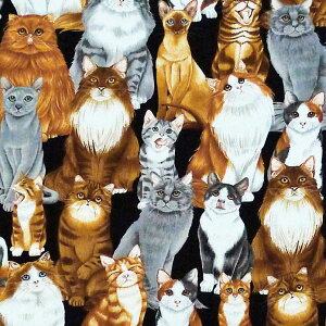 AȃlR 񂾃lR ubN BT-3555 Rbgvgn