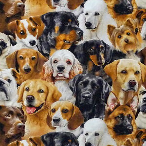 C|[g̉Rbgvgn ̃|[g[g ^璴^܂ ES-3997