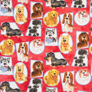 CXǧ bh 3W-4220 Rbgvgn