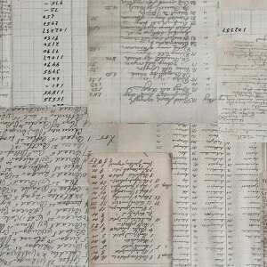 pb`[NELgɂł傤H pEAt@xbg̃E 110*30 MO-4306 Rbgvgn