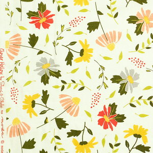 LNȂ̐FXȉ AC{[ MO-4311 Rbgvgn