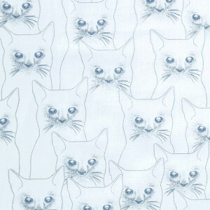 ̖ڂ̋⃉̃lR zCg HF-4421 Rbgvgn