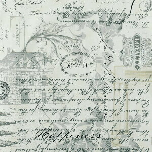 pb`[NELgɂł傤H ML̂̉pPAԁAXAv N[ MO-4805 Rbgvgn