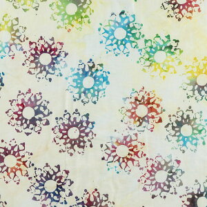 F̐̌ oeBbN/N[ F-4810 Rbgvgn