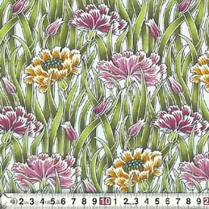 WF-2946 񂾃TLƉF̂ԃI[I[o[ Rbgvgn