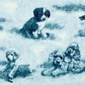 SPX-3243 q u[/mg[/V[jbN Rbgvgn