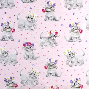 Ԃނ̎elR sN MiMi-4255 Rbgvgn