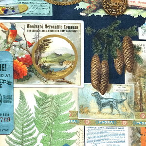 ACkA^O R[W MO-4418 Rbgvgn