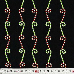 RJR-3011 ԂƗ΂̃LfBo[̃XgCv ubN Rbgvgn